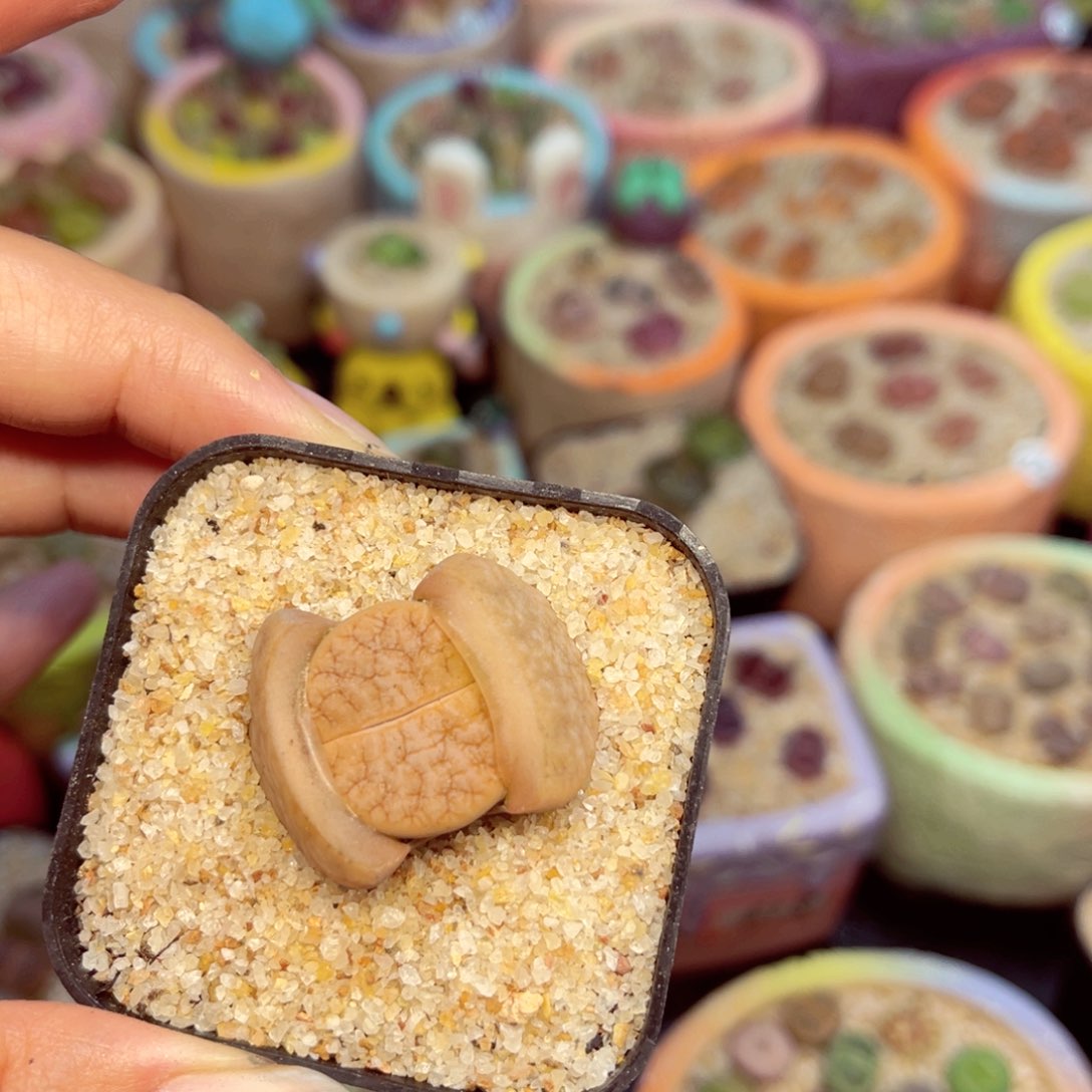 103. 568758996677888677888