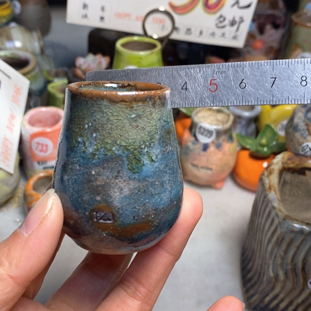 .**·拍3送一个小礼物花盆