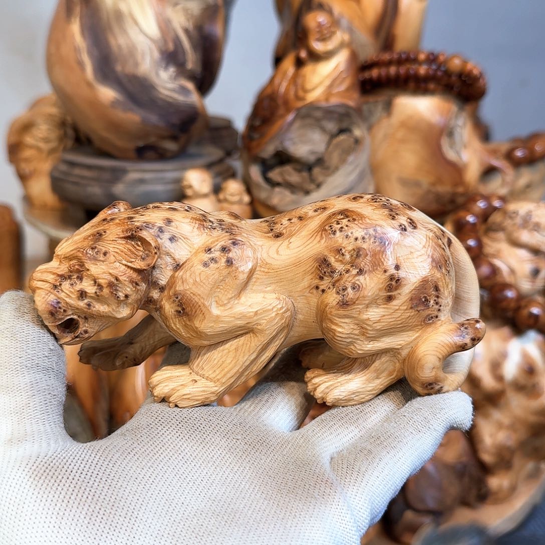 柏木（崖柏）66666666666