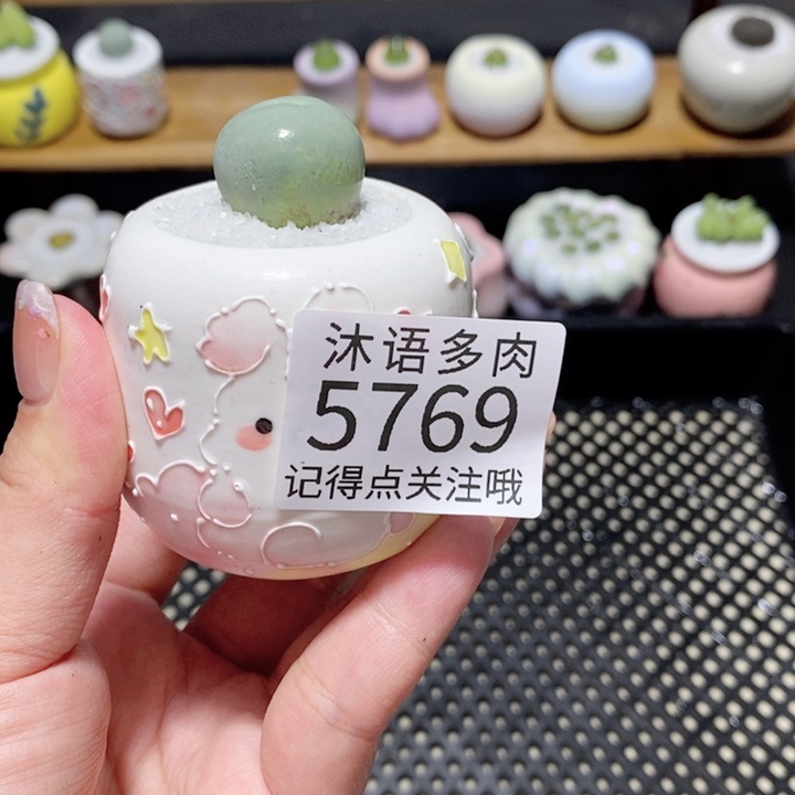 C***y带盆土植物 一物一拍5769