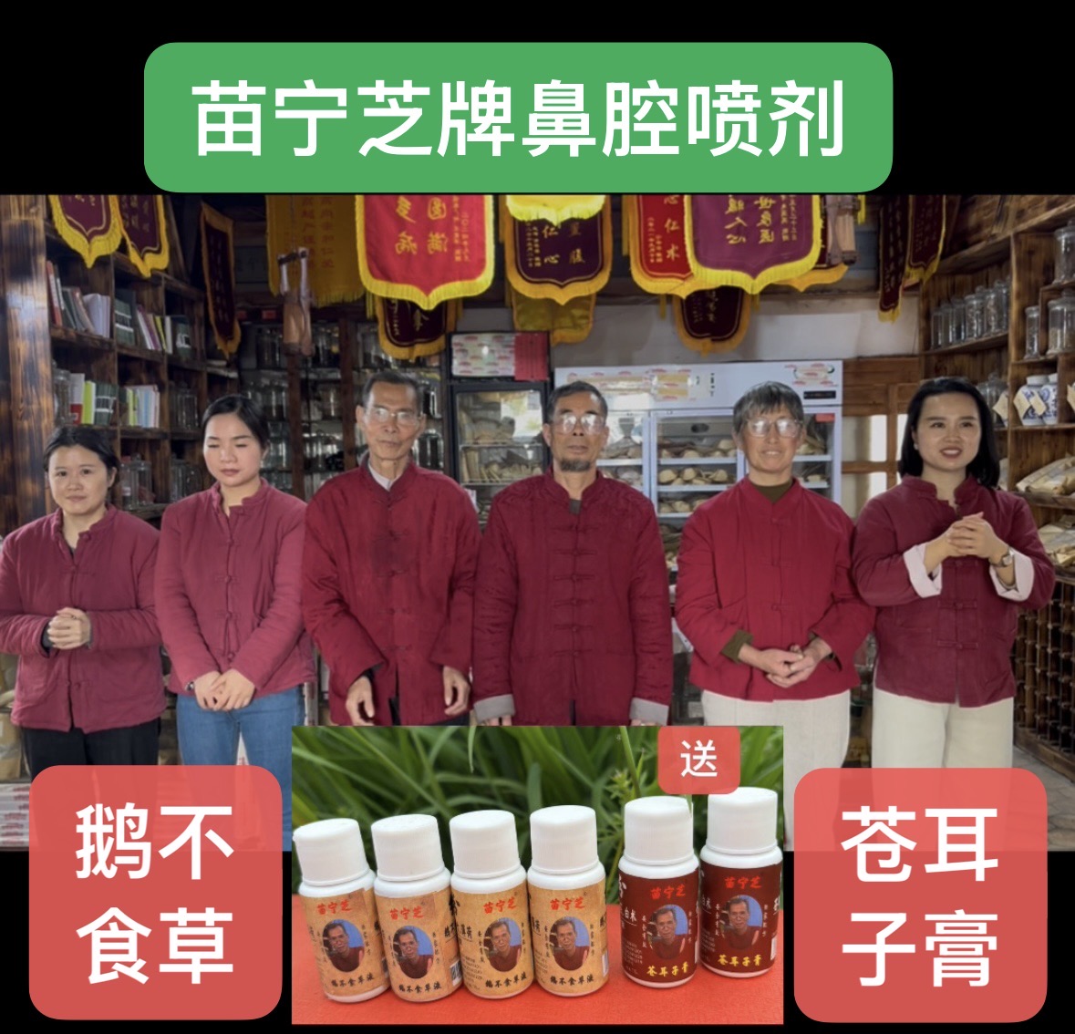 [正装】苗宁芝老牌鼻腔喷剂鹅不食草液15毫升温和草本萃取清凉