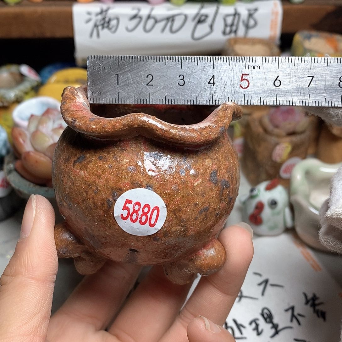 红陶拍5送一个小