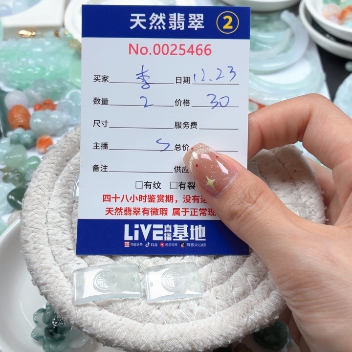 李***真翡翠未镶嵌挂件Ty
