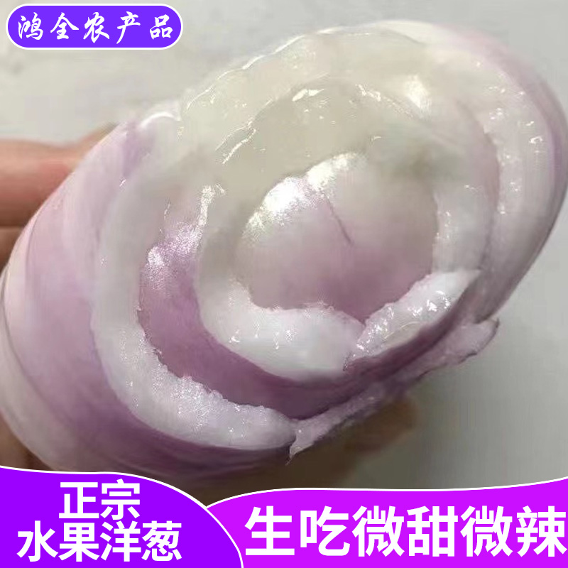 （现挖现发）2025新鲜扁平水果洋葱可生吃凉拌微辣鲜洋葱5斤