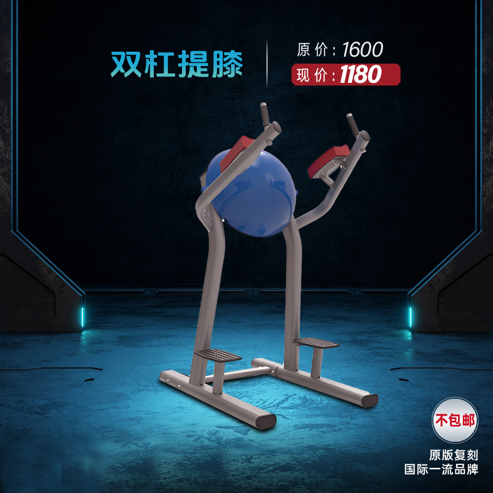 健身器材双杠提膝定金300