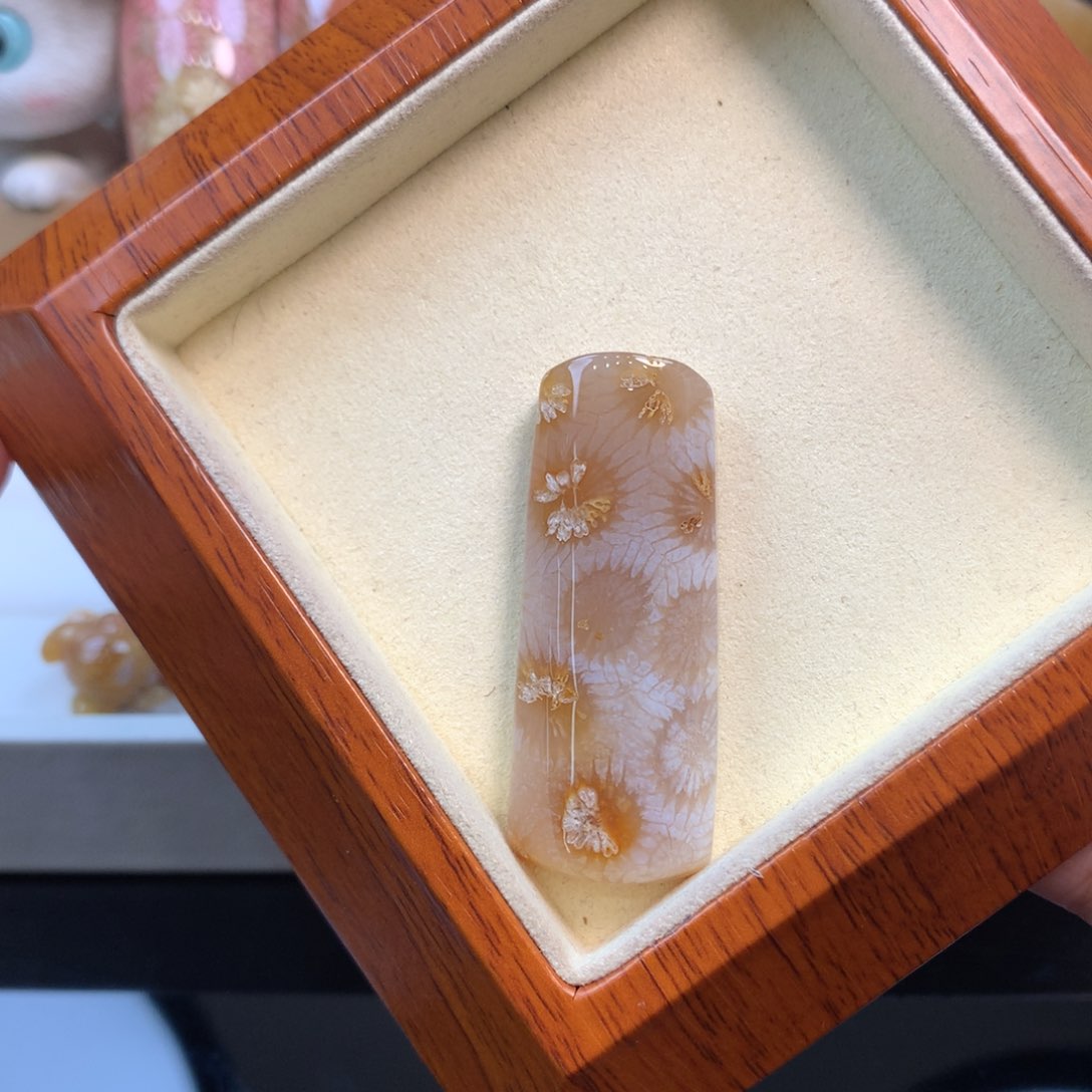 硅化珊瑚（珊瑚玉）颈饰未镶嵌
