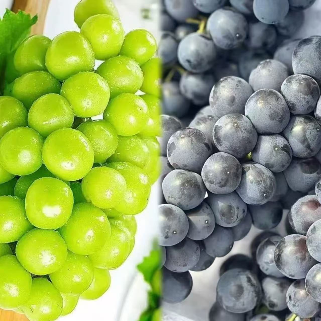 【组合装】晴王葡萄+蓝莓葡萄二合一，2斤起新鲜云南省