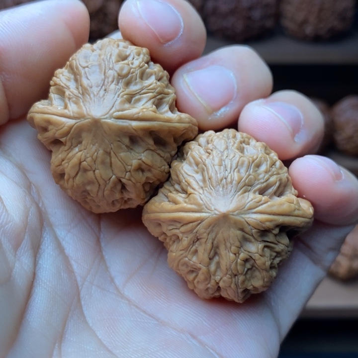 糖***吖龙脊菩提吊坠铁锤