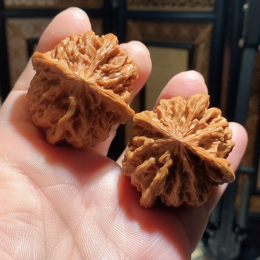 文玩核桃把件46野牛四棱