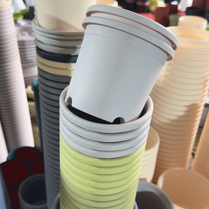 四季1#灰白10个无托