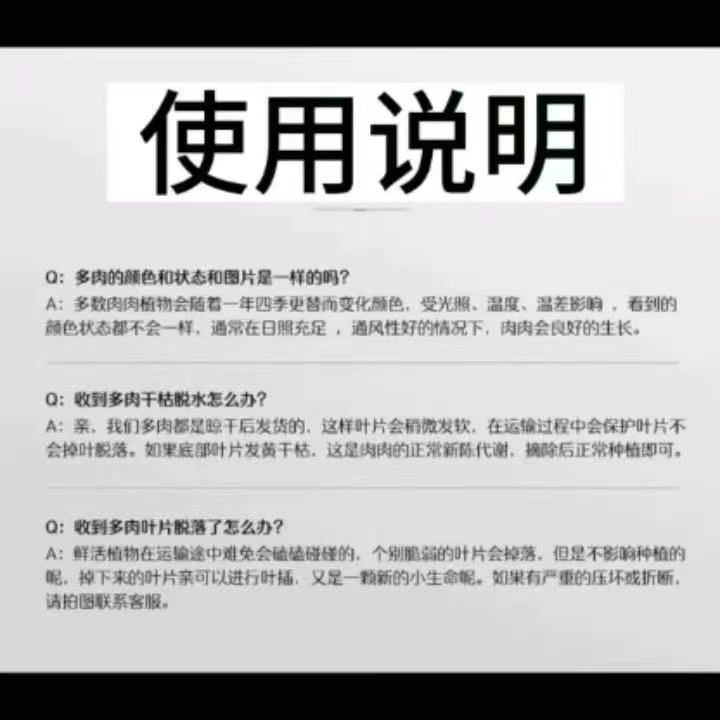 精品多肉 综合链接 好看好养