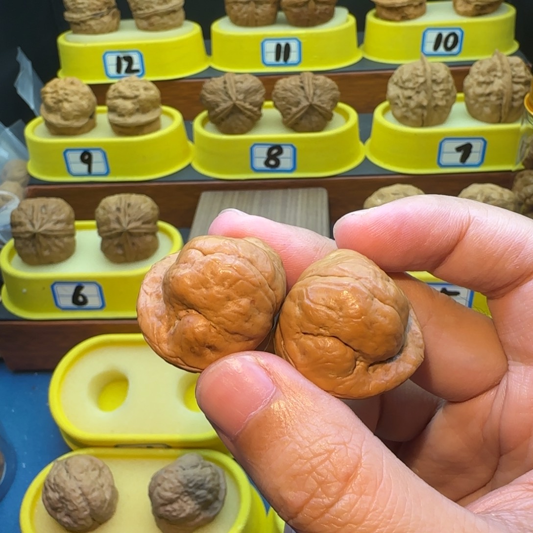 烦***桃核把件金刚鹦蟾