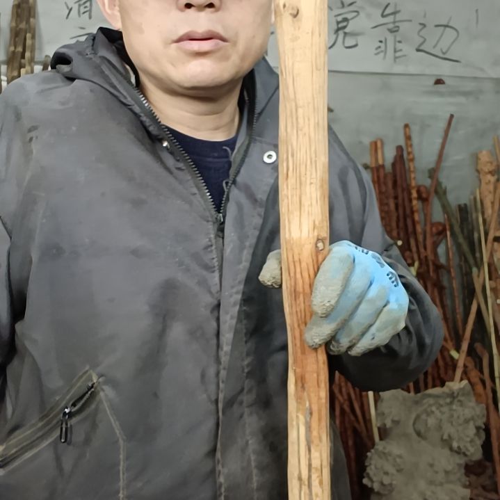 稳定木多****金贵州檬子木   铁马鞭   根艺  半成品