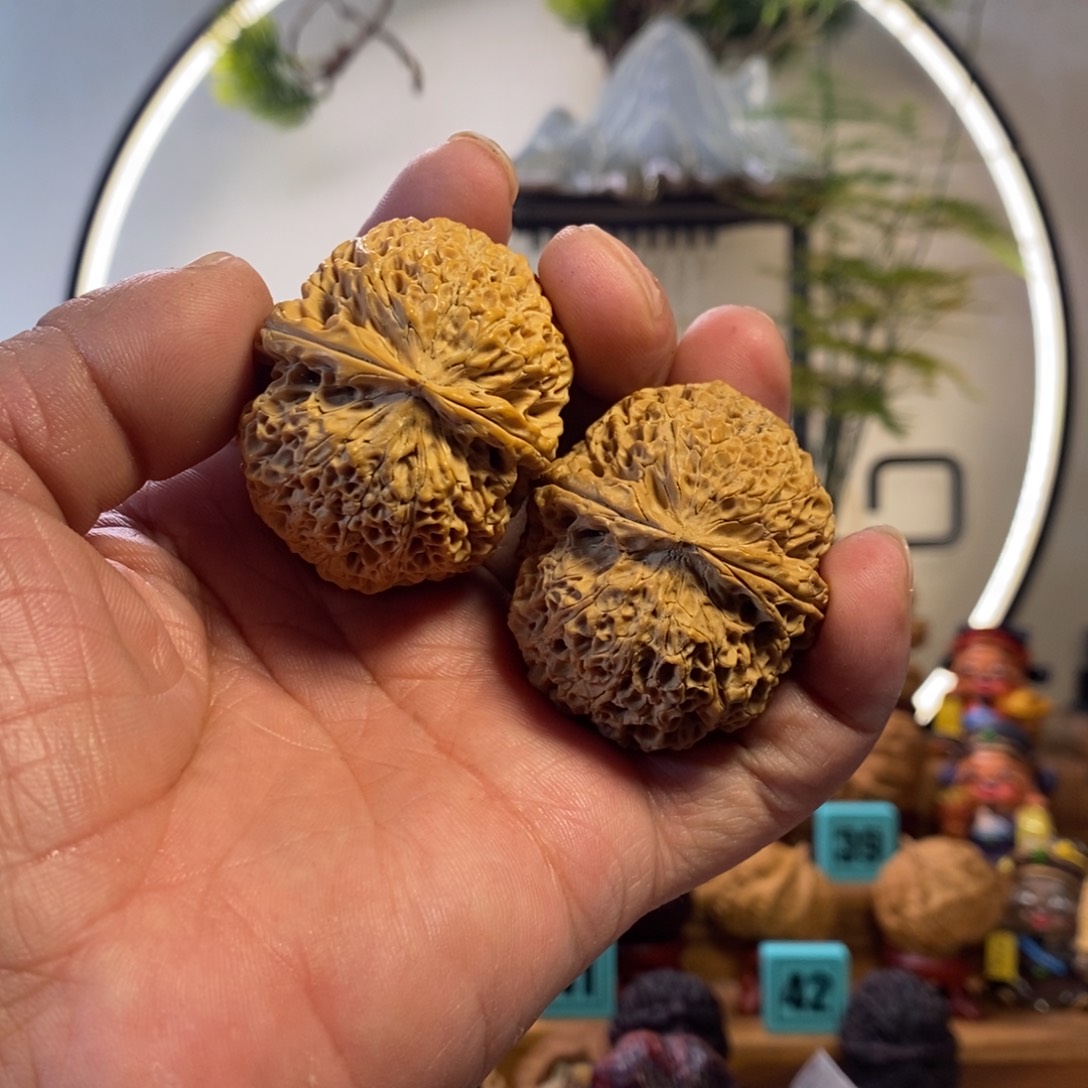 阿***什吊坠龙脊菩提臻龙绣球