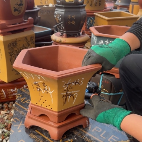 红陶紫砂花盆盆景盆栽