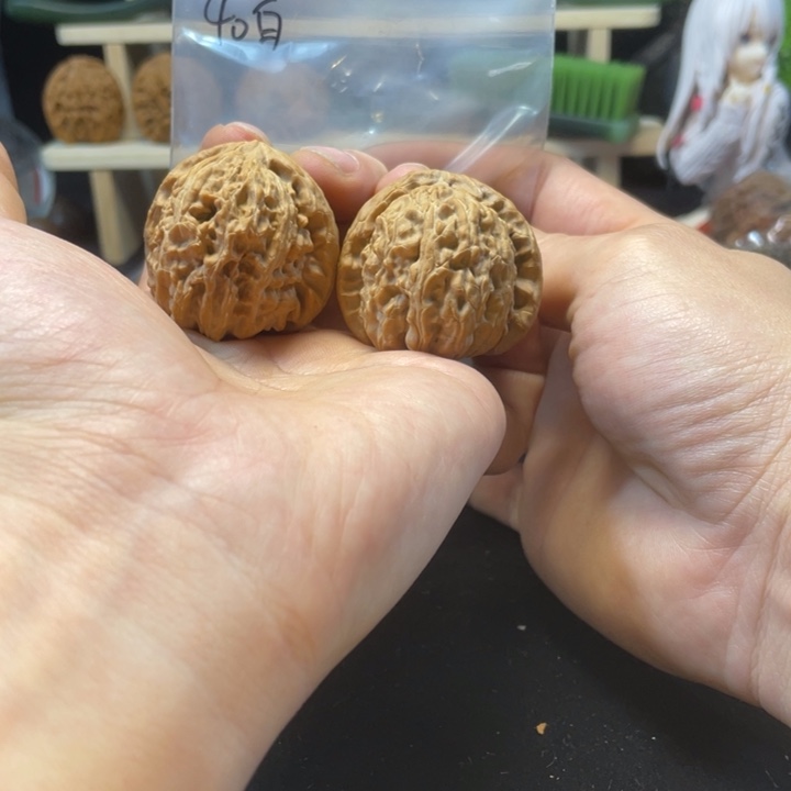 文玩核桃把件40白狮子