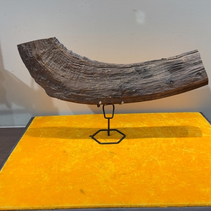 翔***龍柏木（崖柏）对经济坎坎坷坷看看姐姐