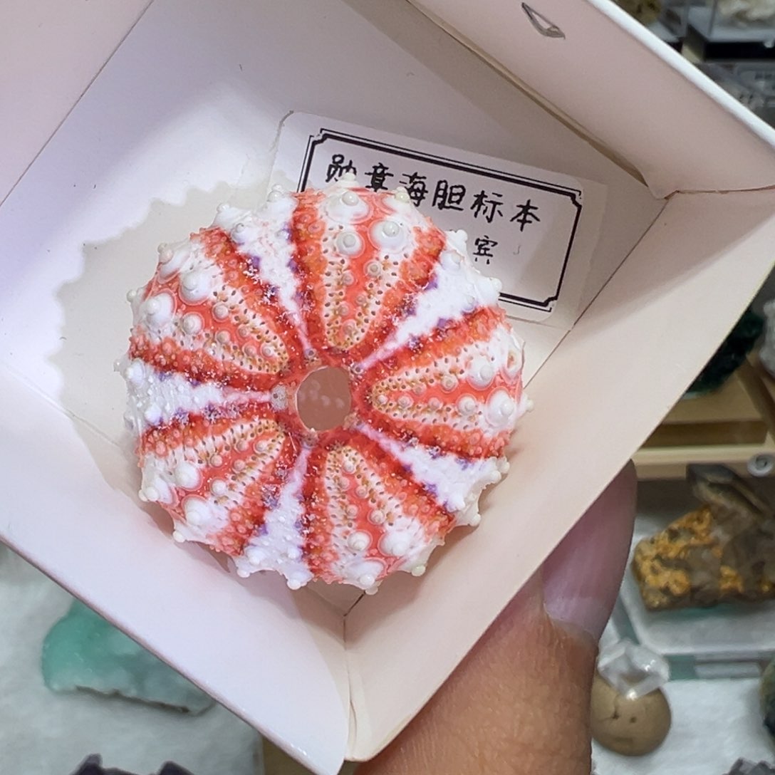 紫晶大型摆件（非配饰）银S925镶嵌