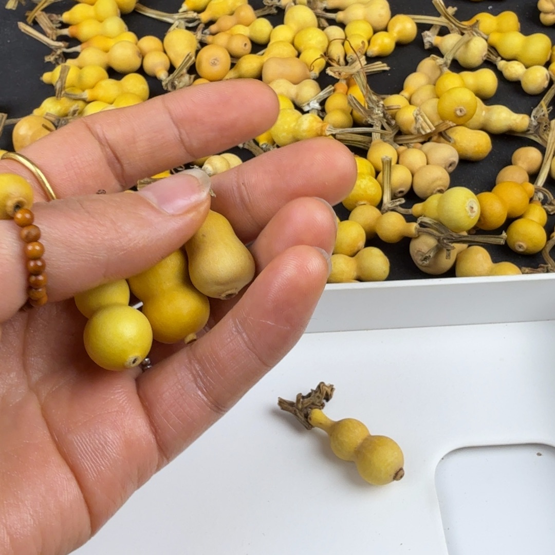 山***鱼木质天然葫芦一物一拍