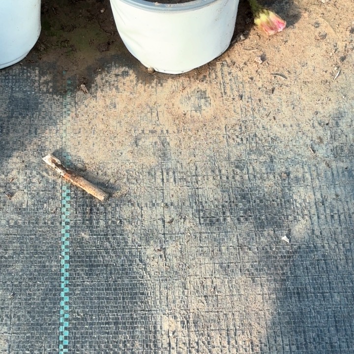 瑞***务彩草6➕1号两个大侧牙