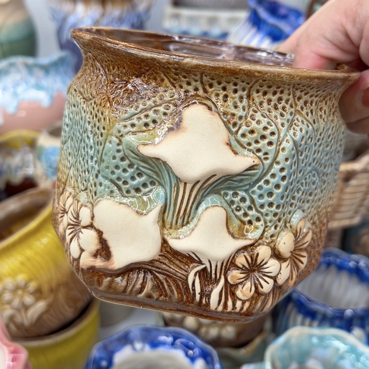 多肉植物陶瓷花盆