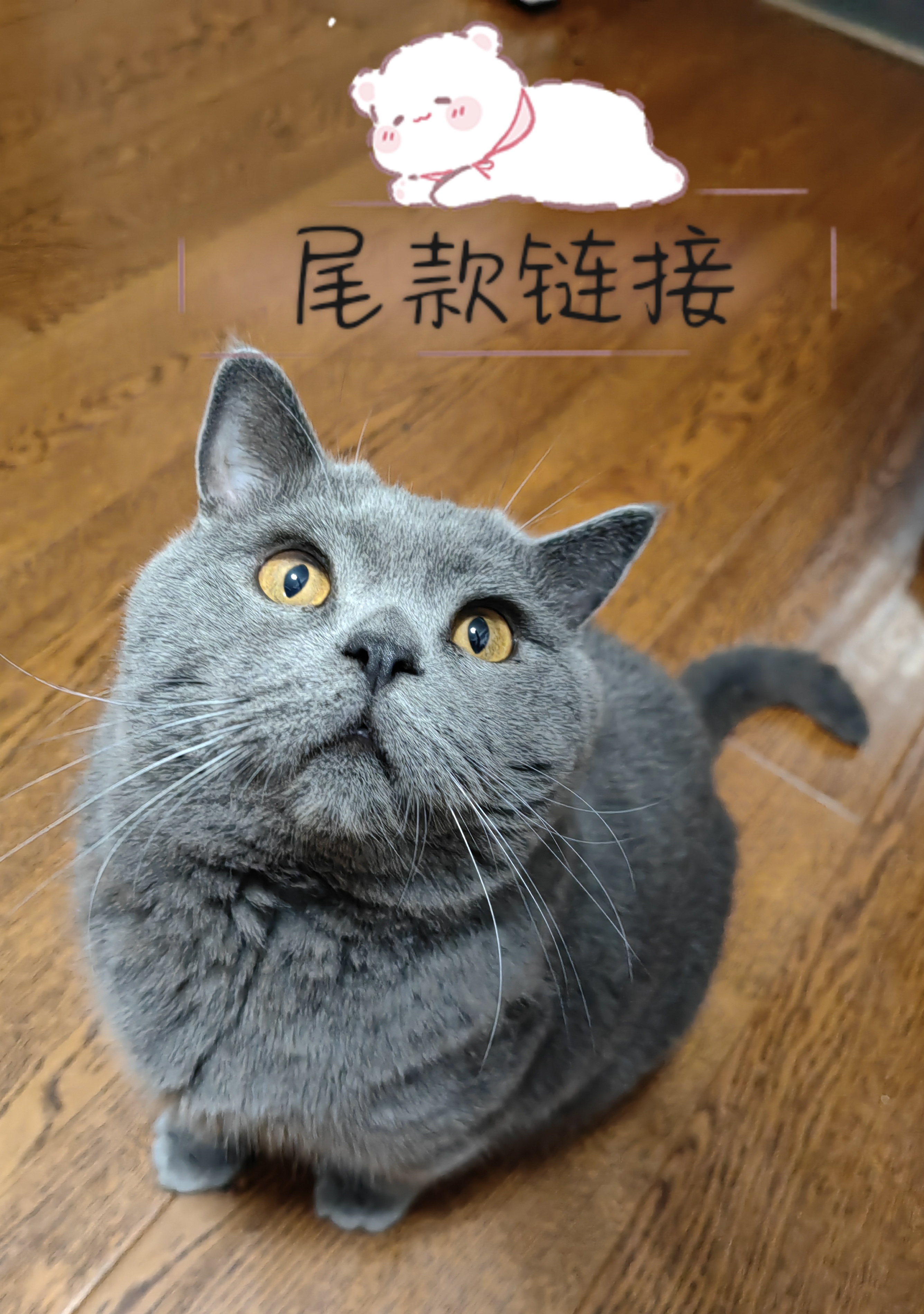 手账胶带自选尾款链接（11.1号）