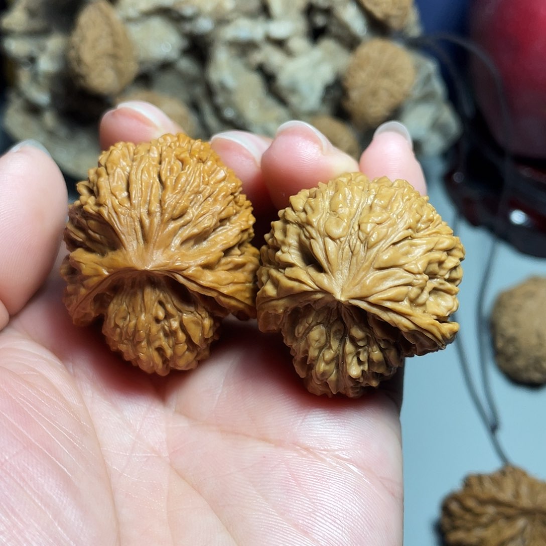 核桃手串/手链精品南疆龟背