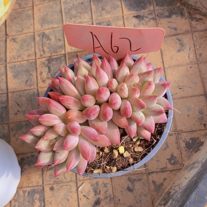 我都要睡觉啦我不