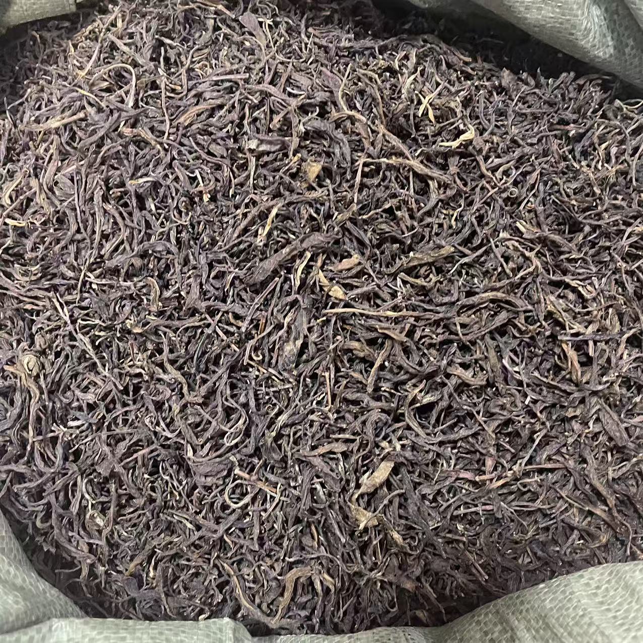 云南普洱古树生茶