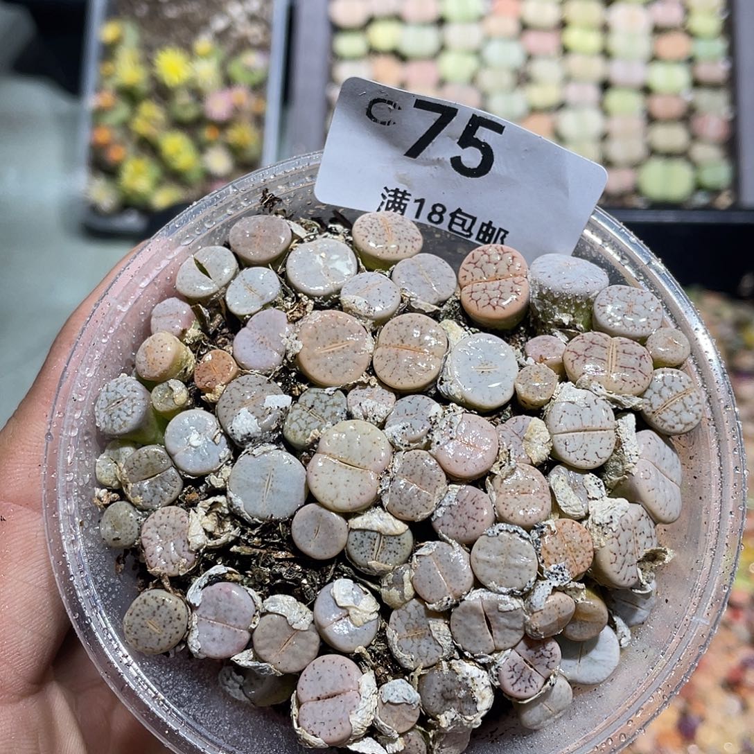 当天凑满十八元包邮75