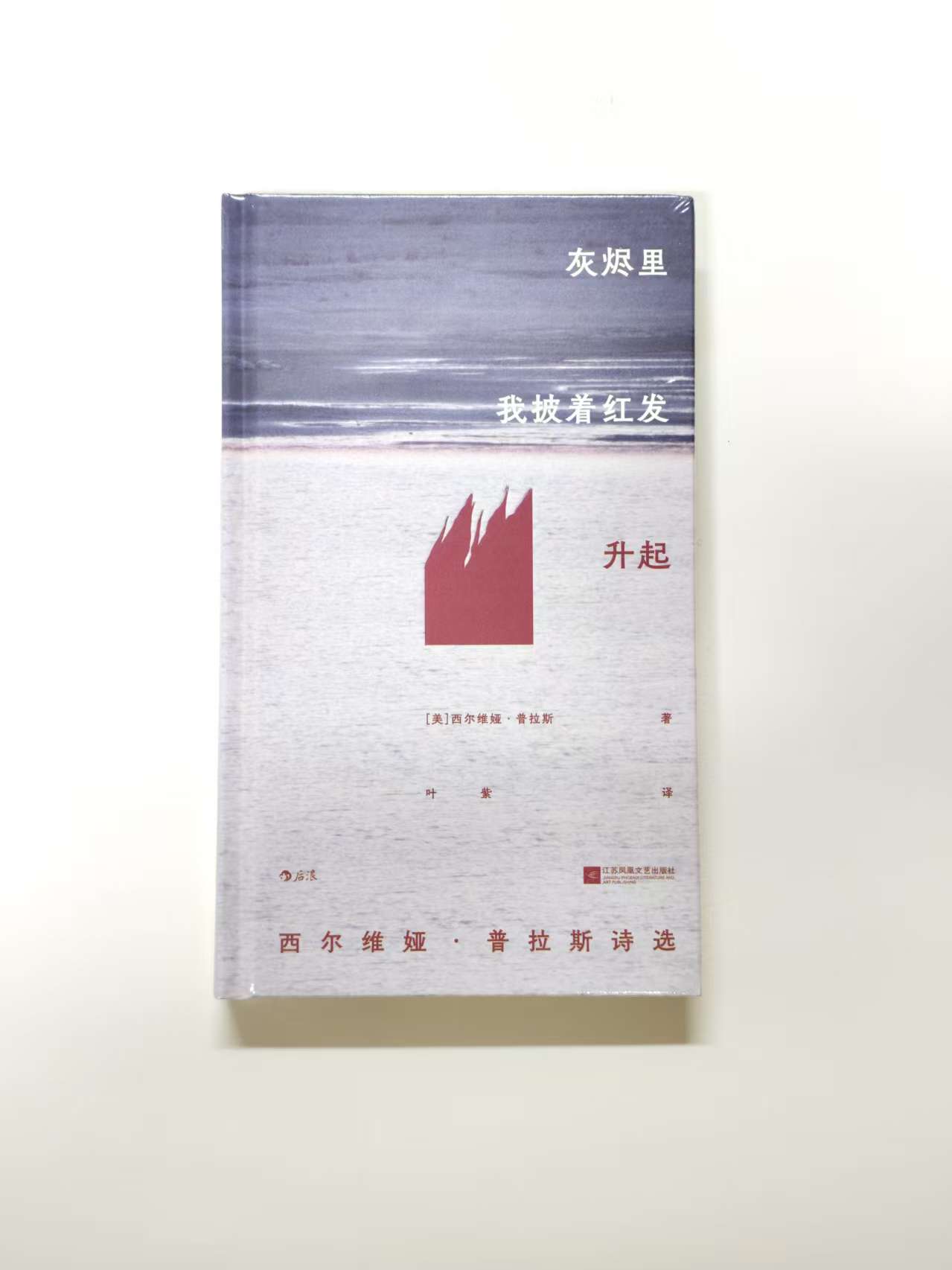 ［五折］《灰烬里我披着红发升起：西尔维娅·普拉斯诗选 (插图珍藏版》