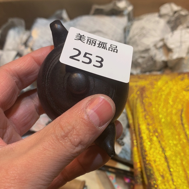 山**蛇孤品店的老板娘是我253