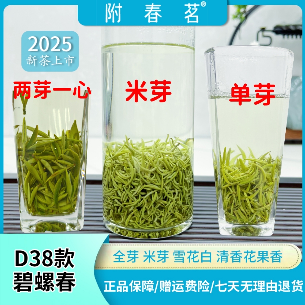 【2025年头采茶】D38-D39全米芽手工碧螺春雨花茶清香花香春季送礼