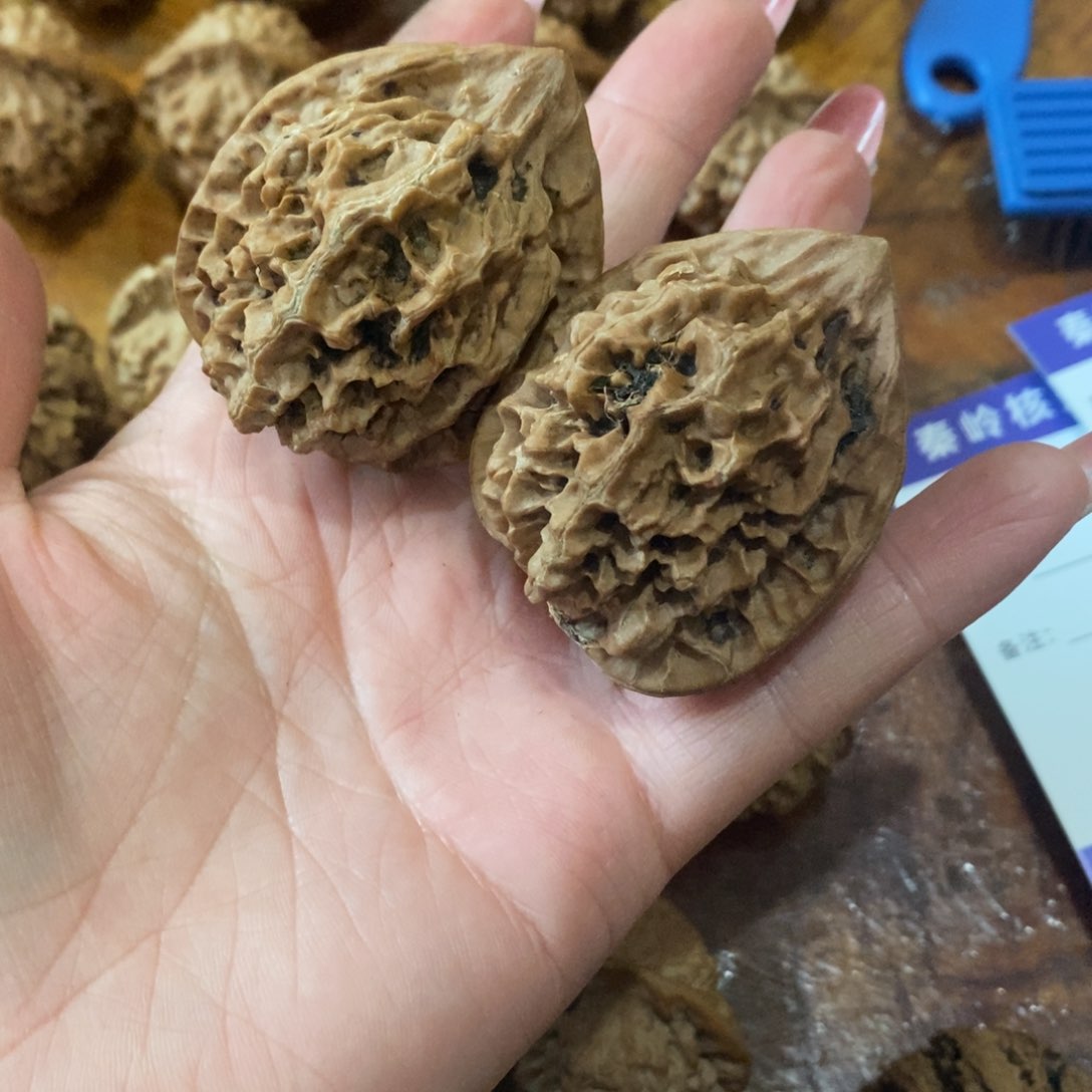 c**l秦岭野生核桃鸡心