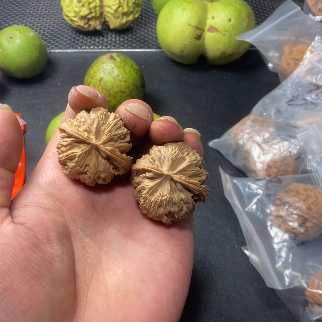 A***A文玩核桃把件3578654567