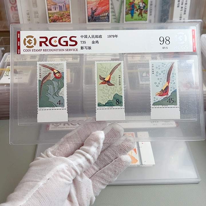 T35下边纸评级98邮票