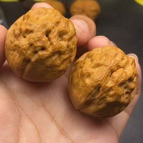 文玩核桃把件39尺疙瘩包