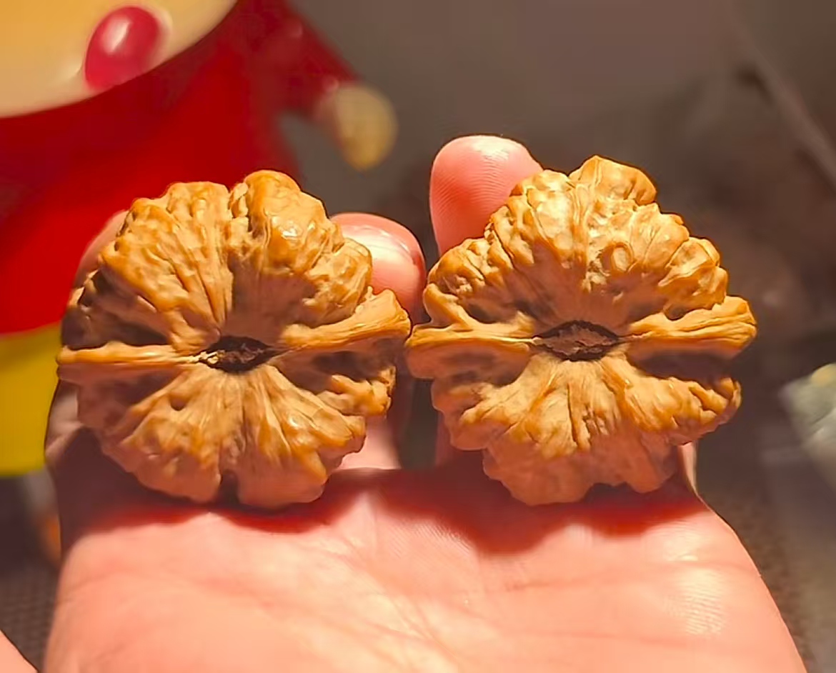 涞水文玩核桃山地果手把件