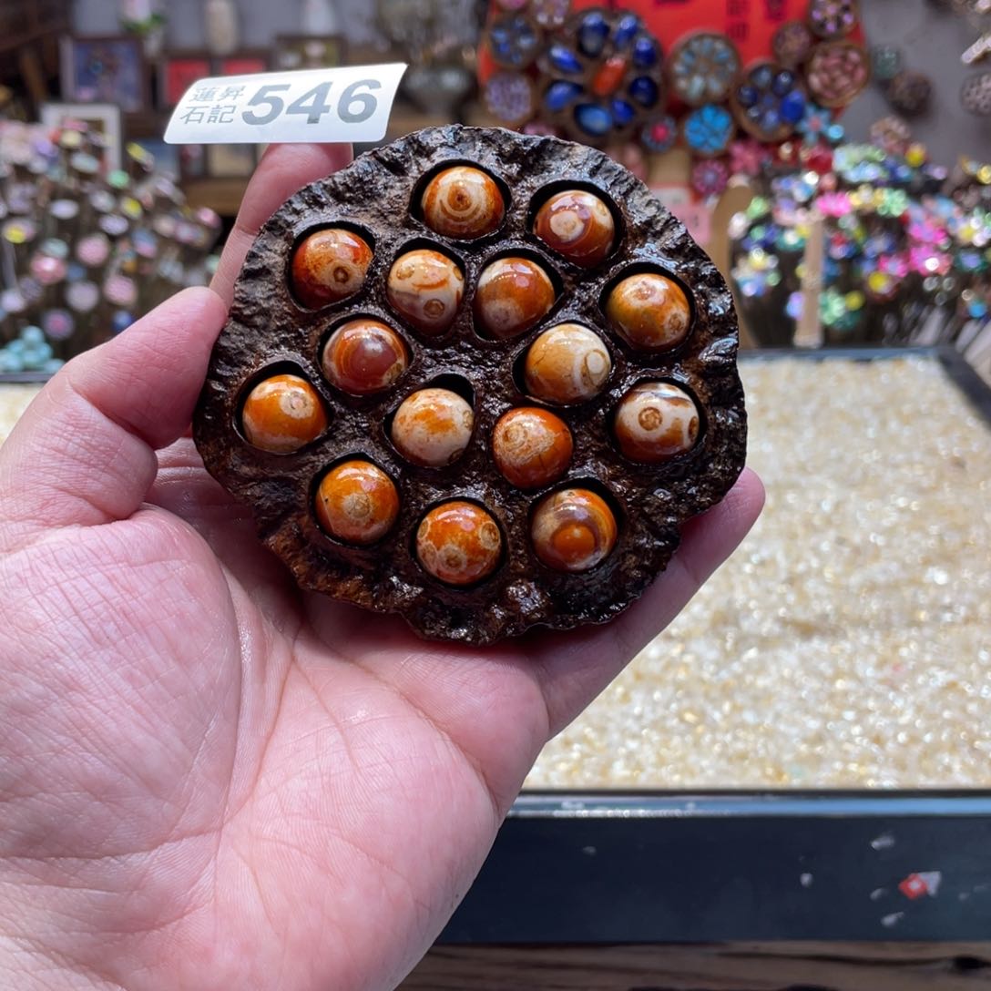 核桃木/黑胡桃（胡桃木）546