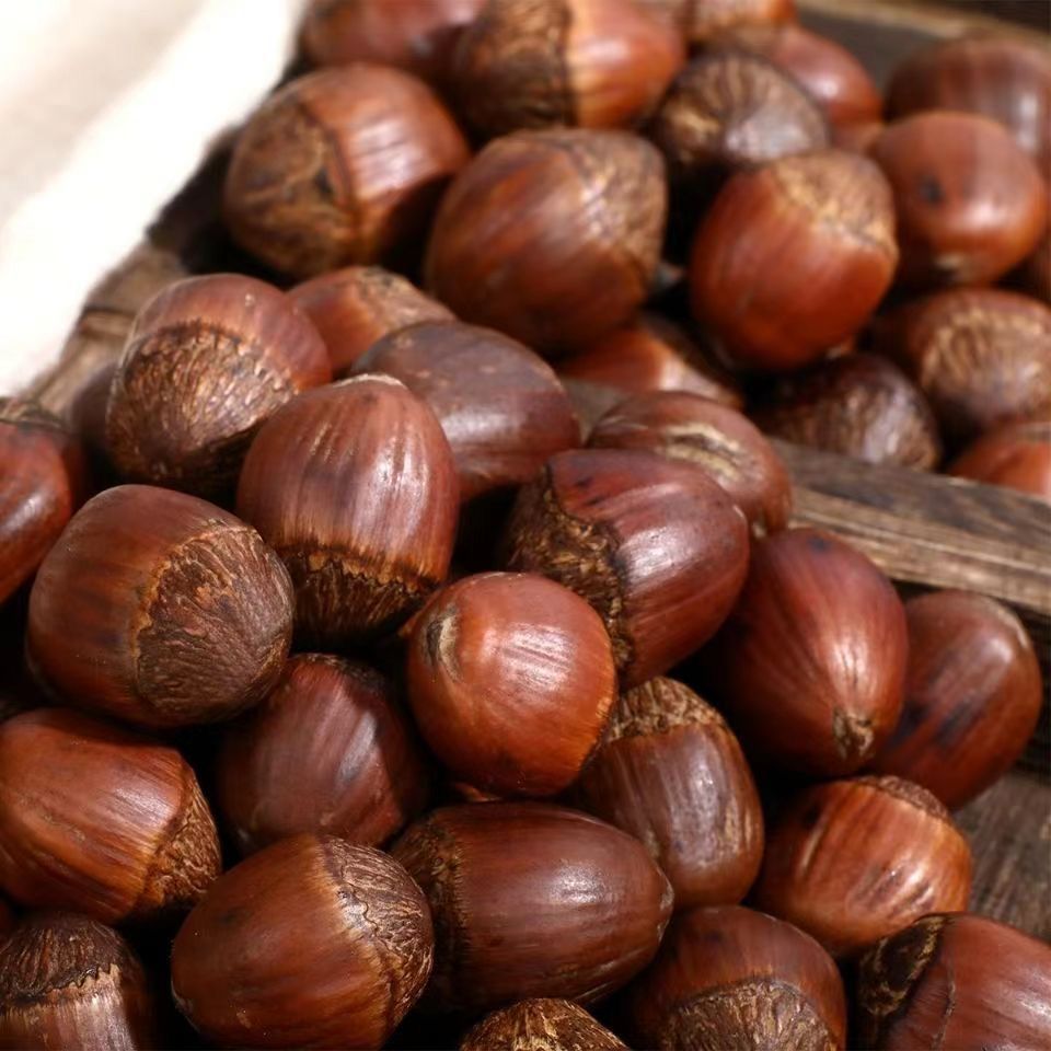 东北特产笑口榛子原味薄壳罐装500g大颗粒饱满清香休闲解馋新货