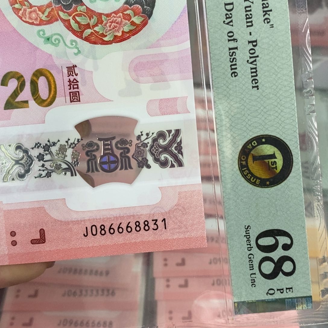 塑料8831----------