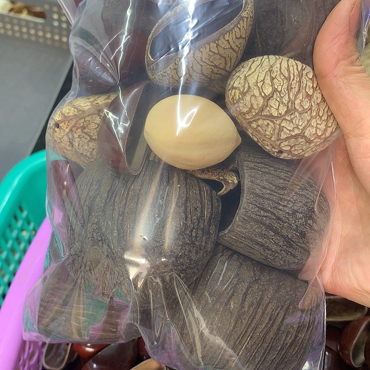 贝***千眼菩提吊坠果壳