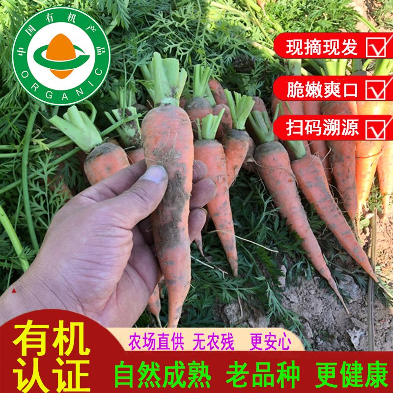 有机认证现拔新鲜胡萝卜ABC蔬果汁榨汁红萝卜宝宝辅食蔬菜