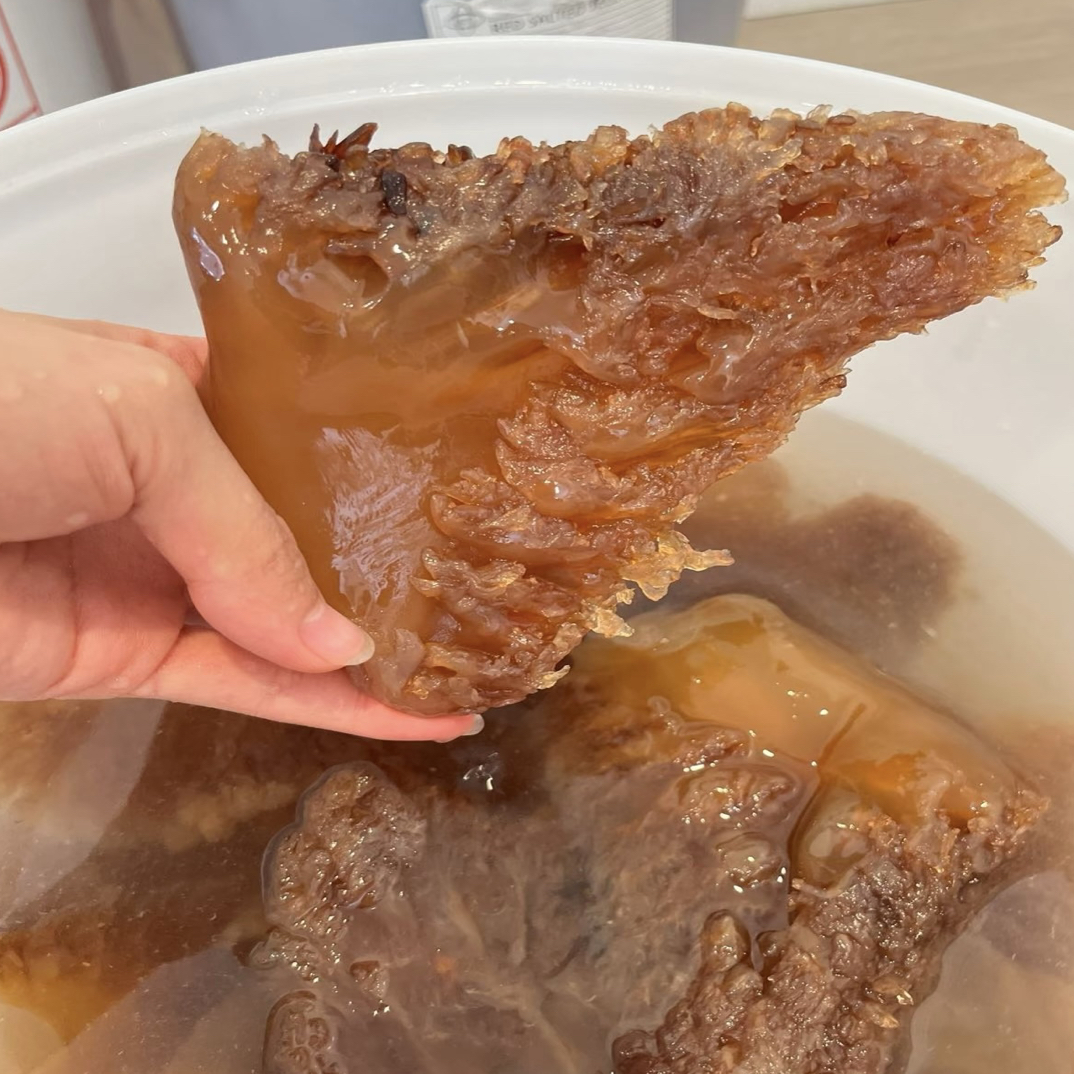 2025海蛰大角 产地直发 顺丰快递包邮  海鲜水产品