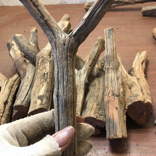 大果紫檀（缅甸花梨）凉