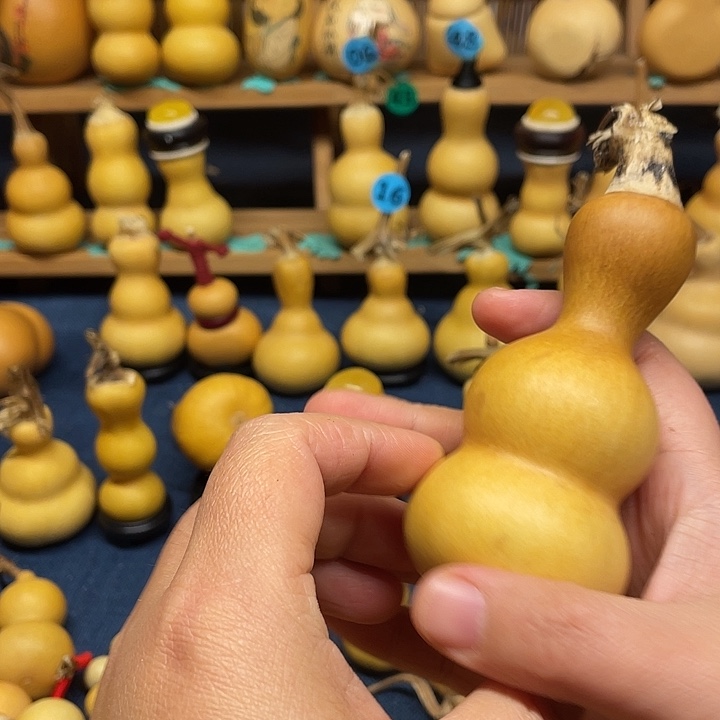 惊***蛰111111111111111111111111