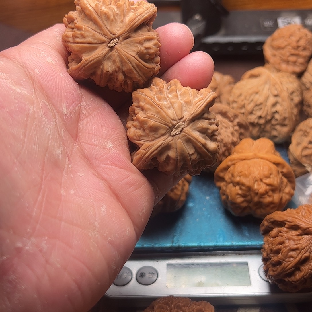 潜***阳文玩核桃老树忘月