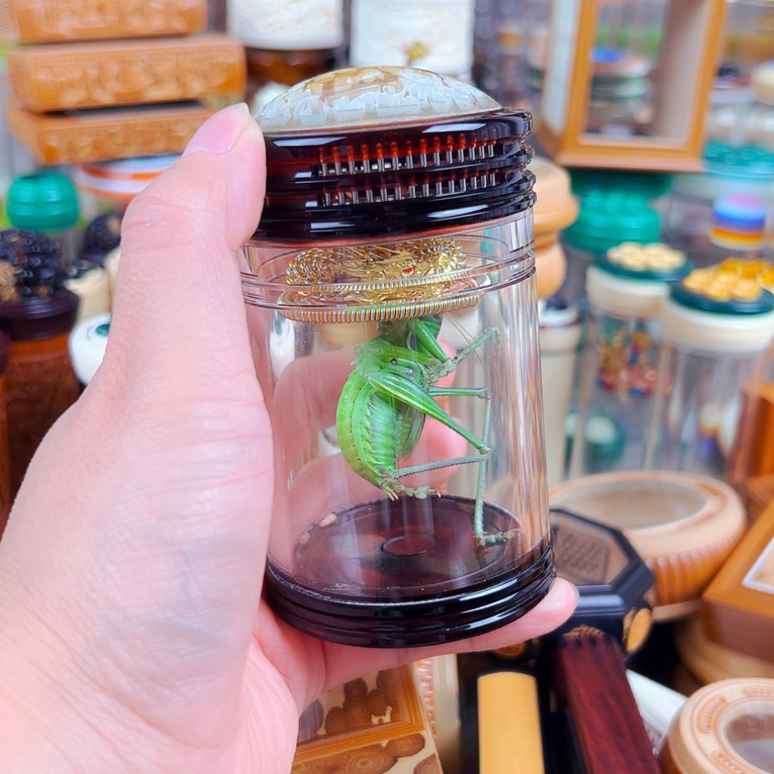 茶色蝈蝈罐一套配绿蝈蝈