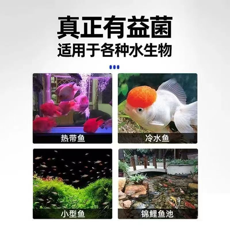 培菌胶囊快速建立鱼缸生态系统