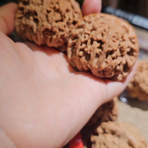 文玩核桃吊坠50水龙